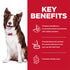 Science Diet Dog Wet Perfect Digestion 363g 12pk