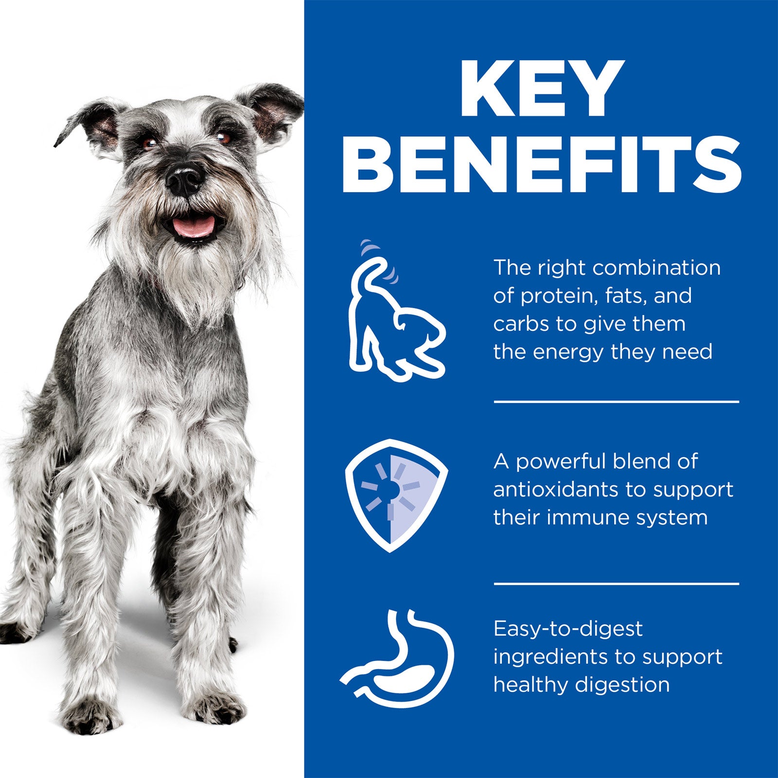 Science Diet Dog Wet Senior Chicken