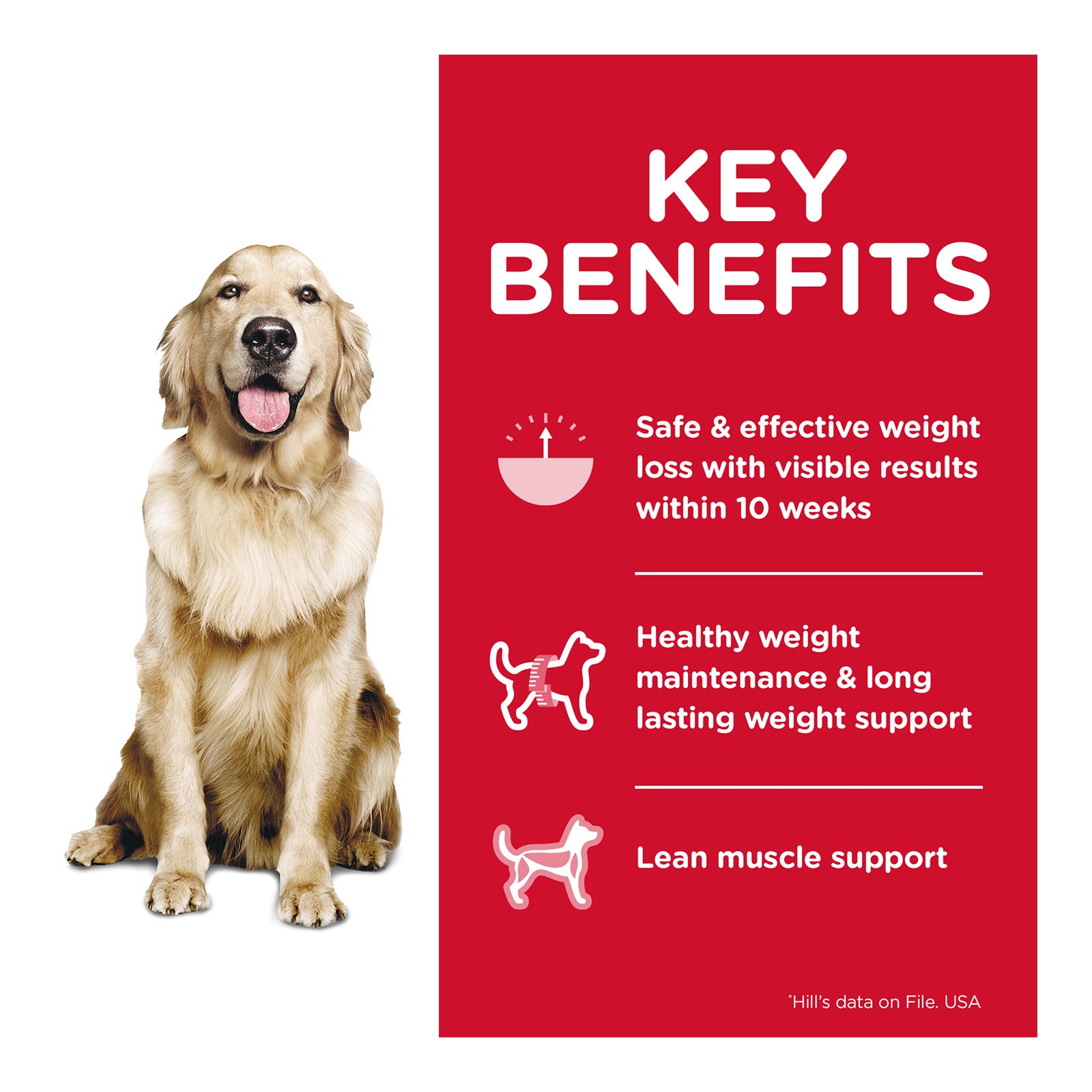 Science Diet Dog Dry Perfect Weight 11.34kg