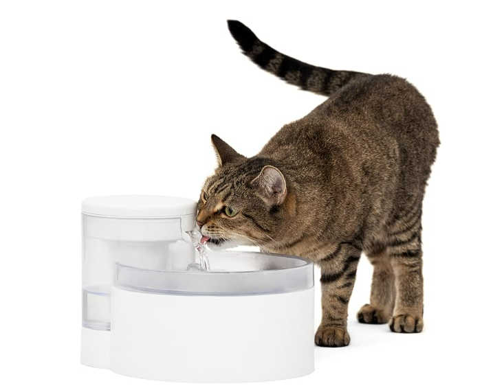 Petsafe Outlast 1.7L Pumpless Pet Fountain