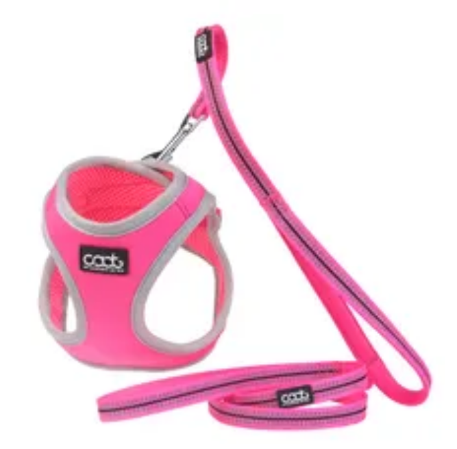 Caat Harness and Leash Kit One size