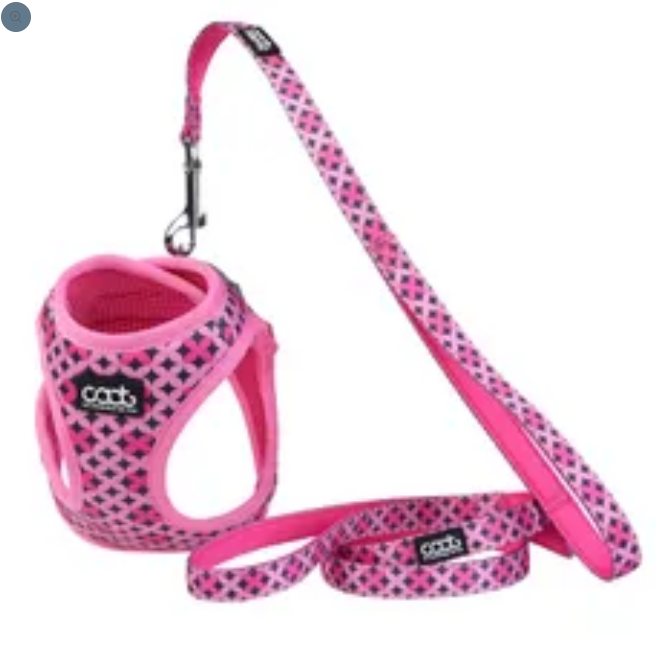 Caat Harness and Leash Kit One size