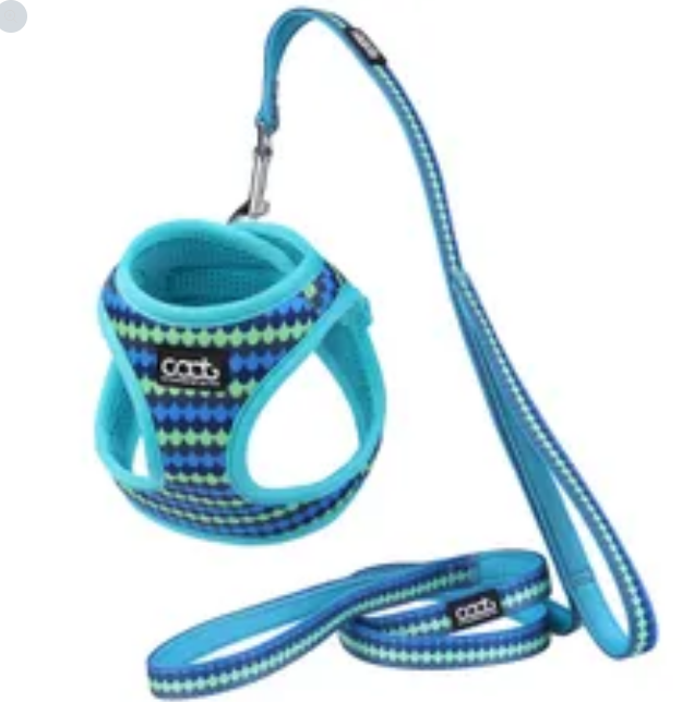 Caat Harness and Leash Kit One size