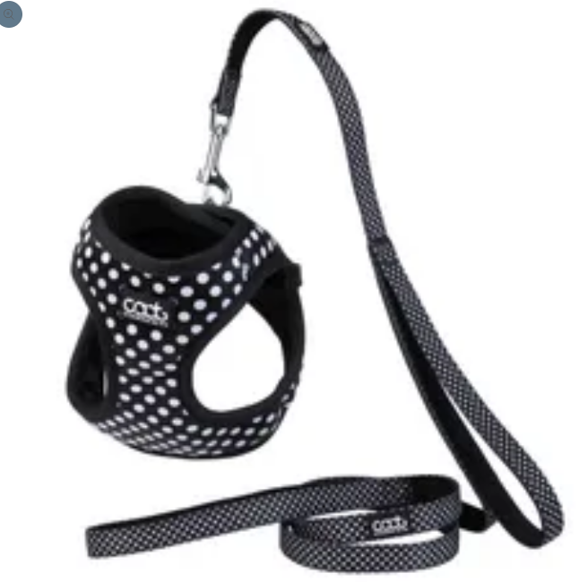 Caat Harness and Leash Kit One size