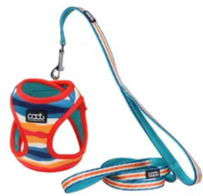 Caat Harness and Leash Kit One size