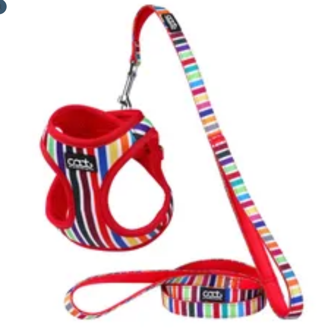 Caat Harness and Leash Kit One size