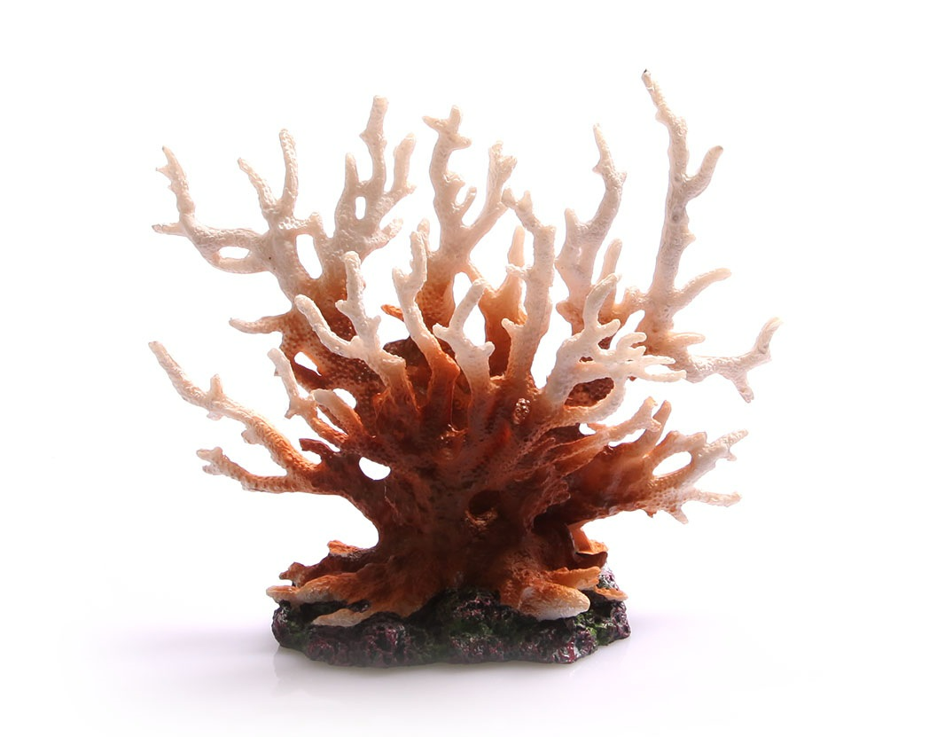 Copi Coral Gorgonian Coral 17x8x15cm