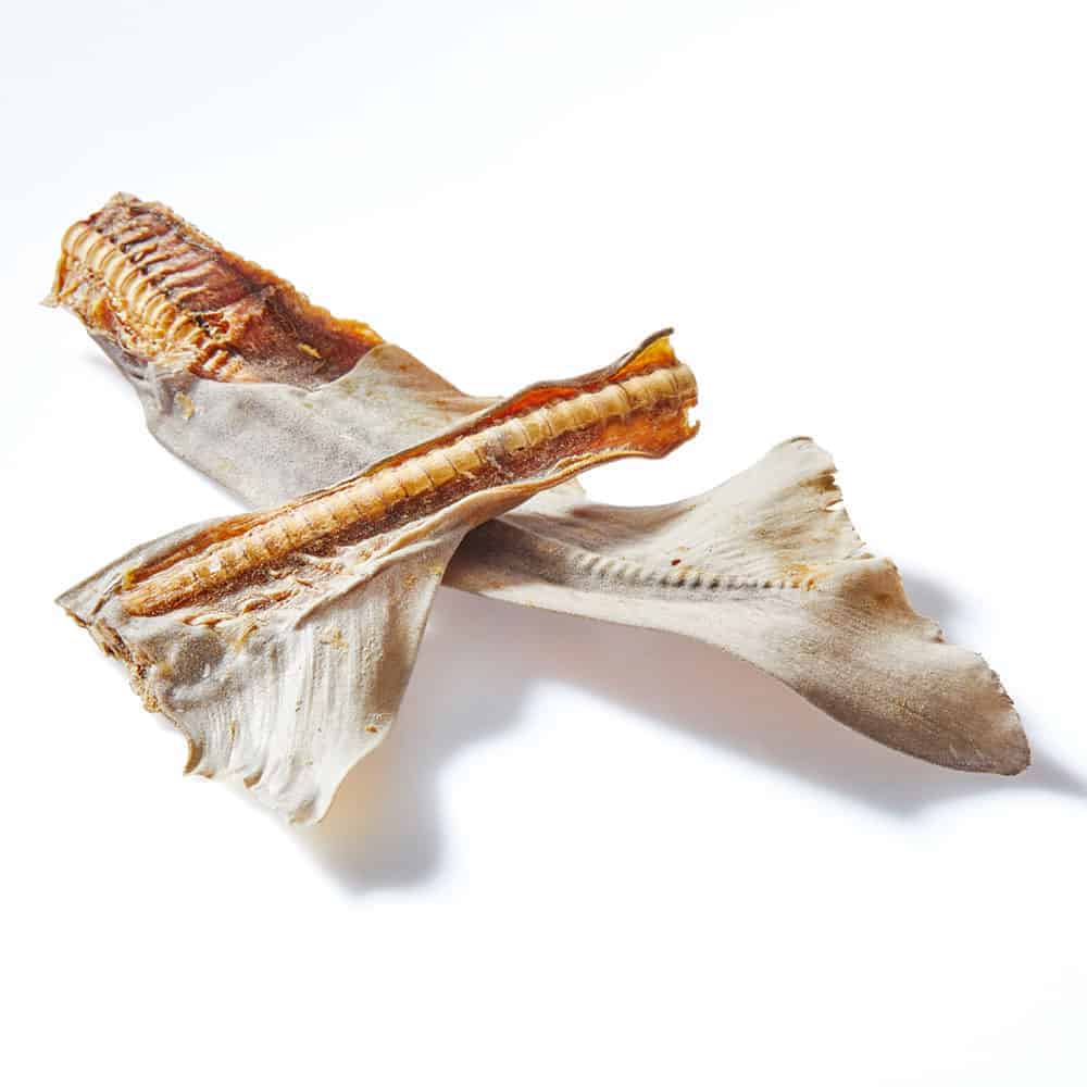 Shark Tail with Cartlidge Single