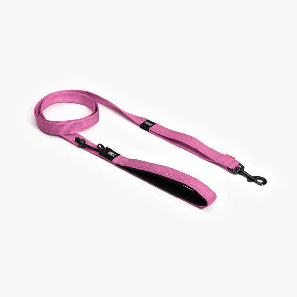 EzyDog Lead Trainer 12