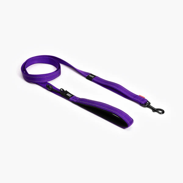 EzyDog Lead Trainer 12