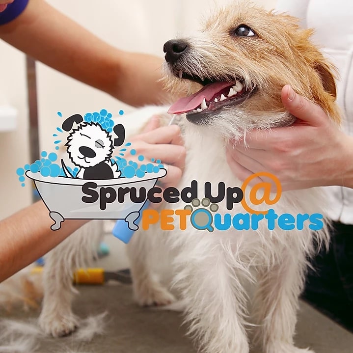PETQuarters Spruced Up dog grooming artwork
