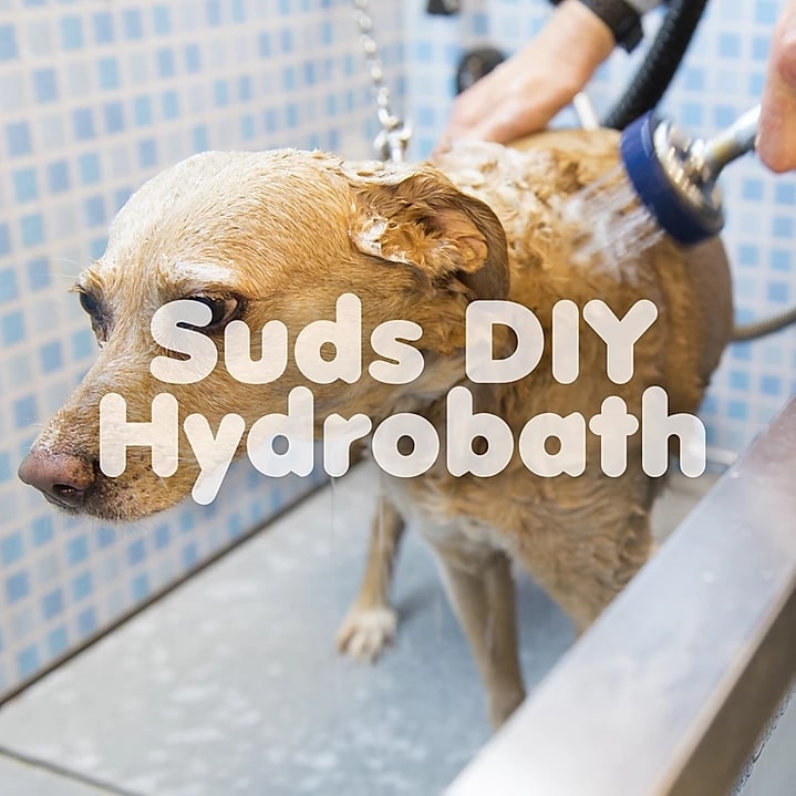 PETQuarters Suds DIY Hydrobath artwork
