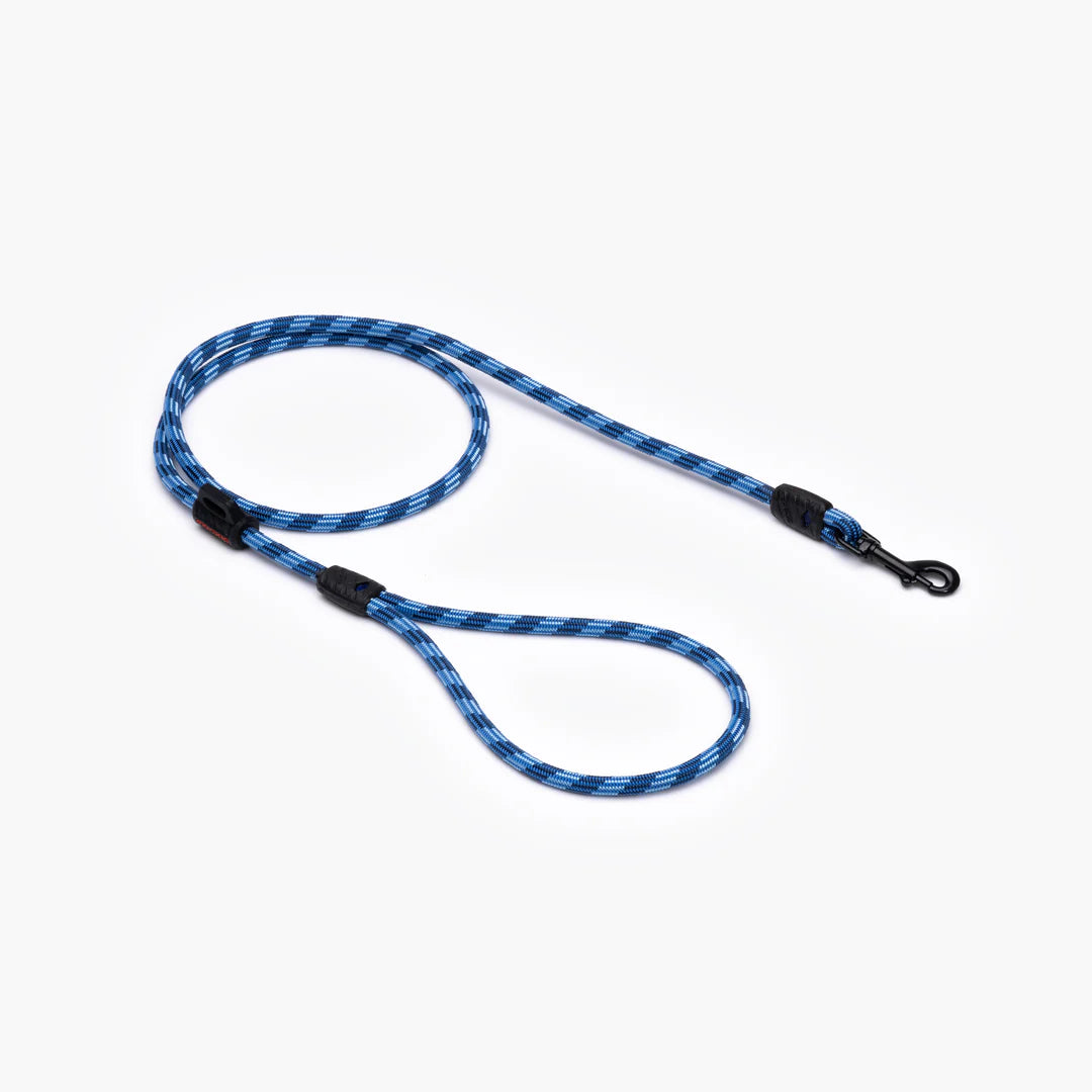 EzyDog Lead Summit 6mm 48 Lite