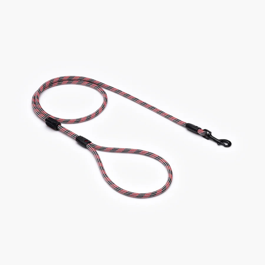 EzyDog Lead Summit 6mm 48 Lite