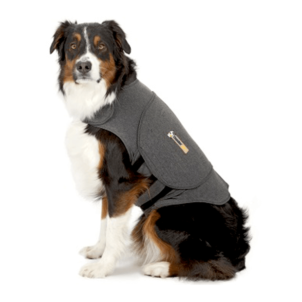 Thundershirt Medium Grey