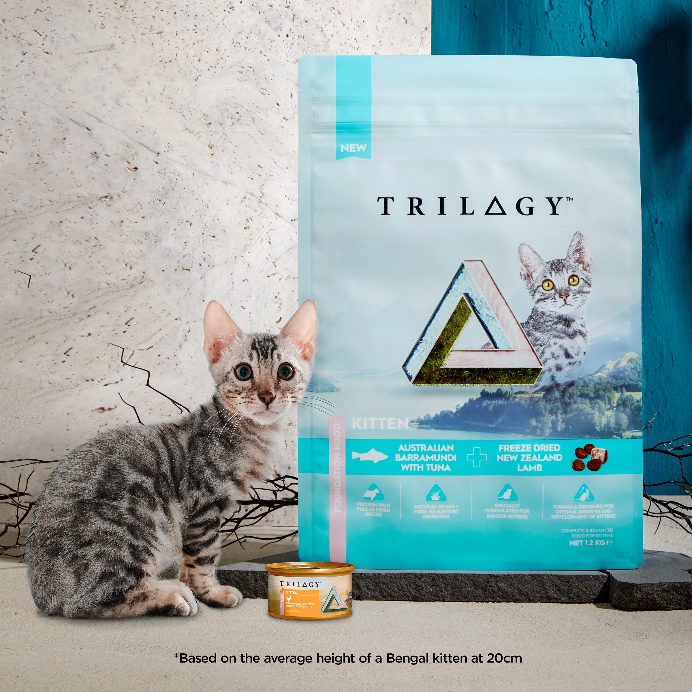 Trilogy Adult Barramundi
