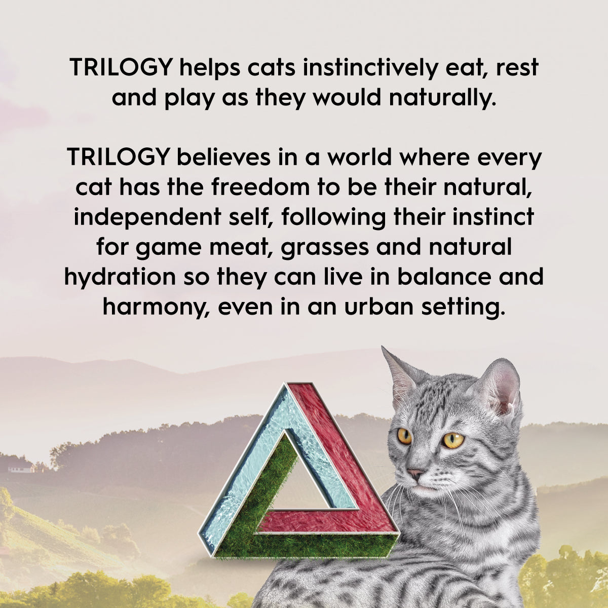 Trilogy Adult Beef