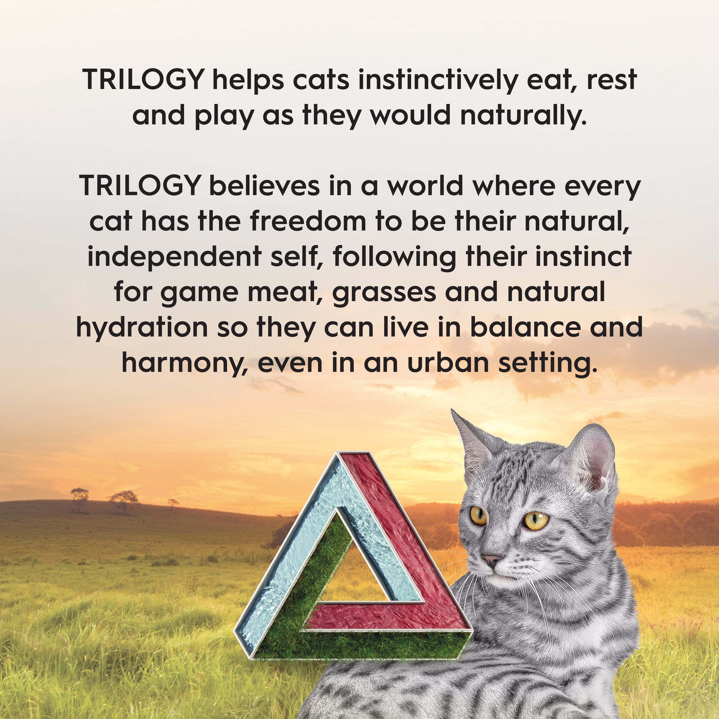 Trilogy Adult Kangaroo 1.8kg