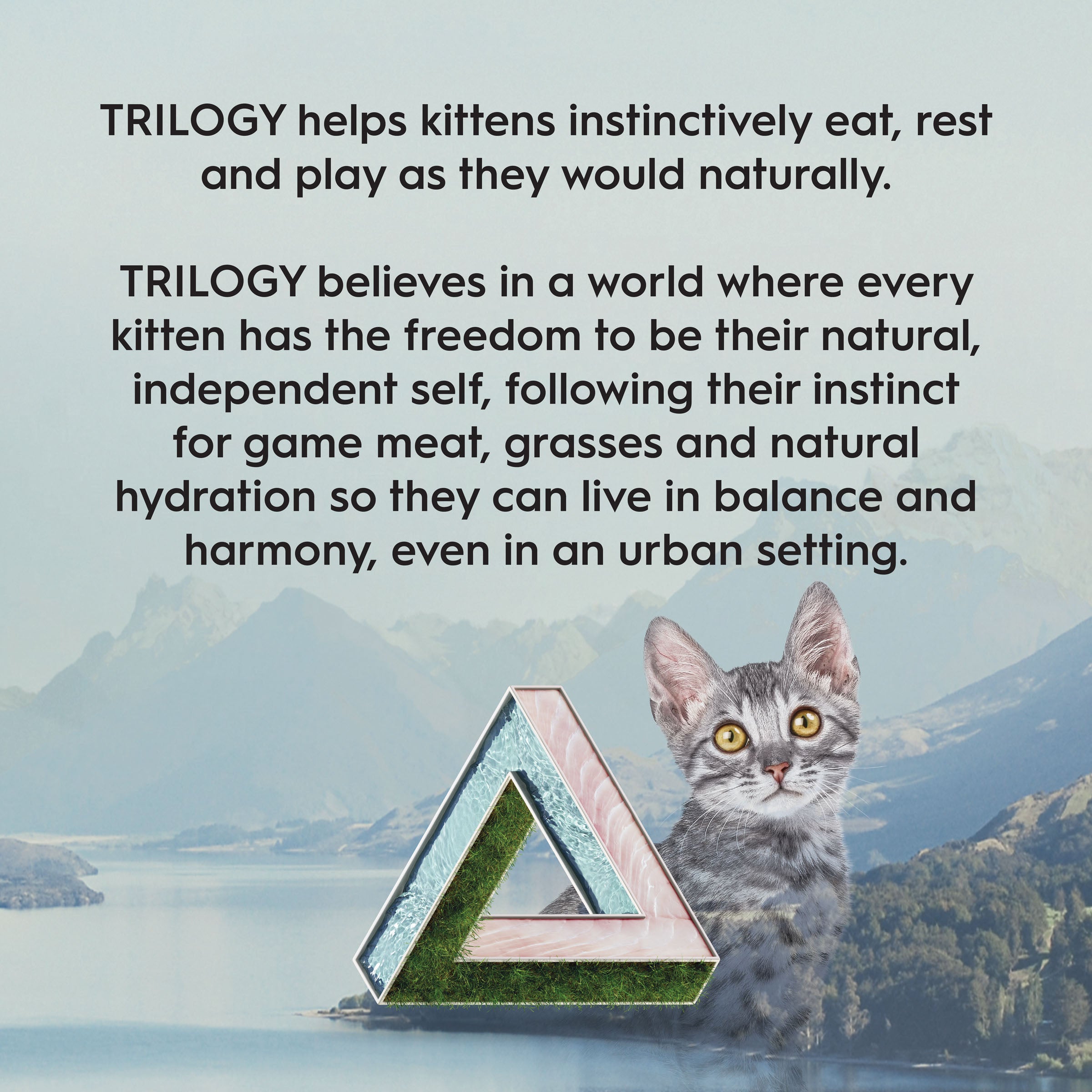 Trilogy Kitten Barramundi & Tuna 1.2kg