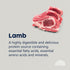 True Colours Adult Lamb And Brown Rice 20kg