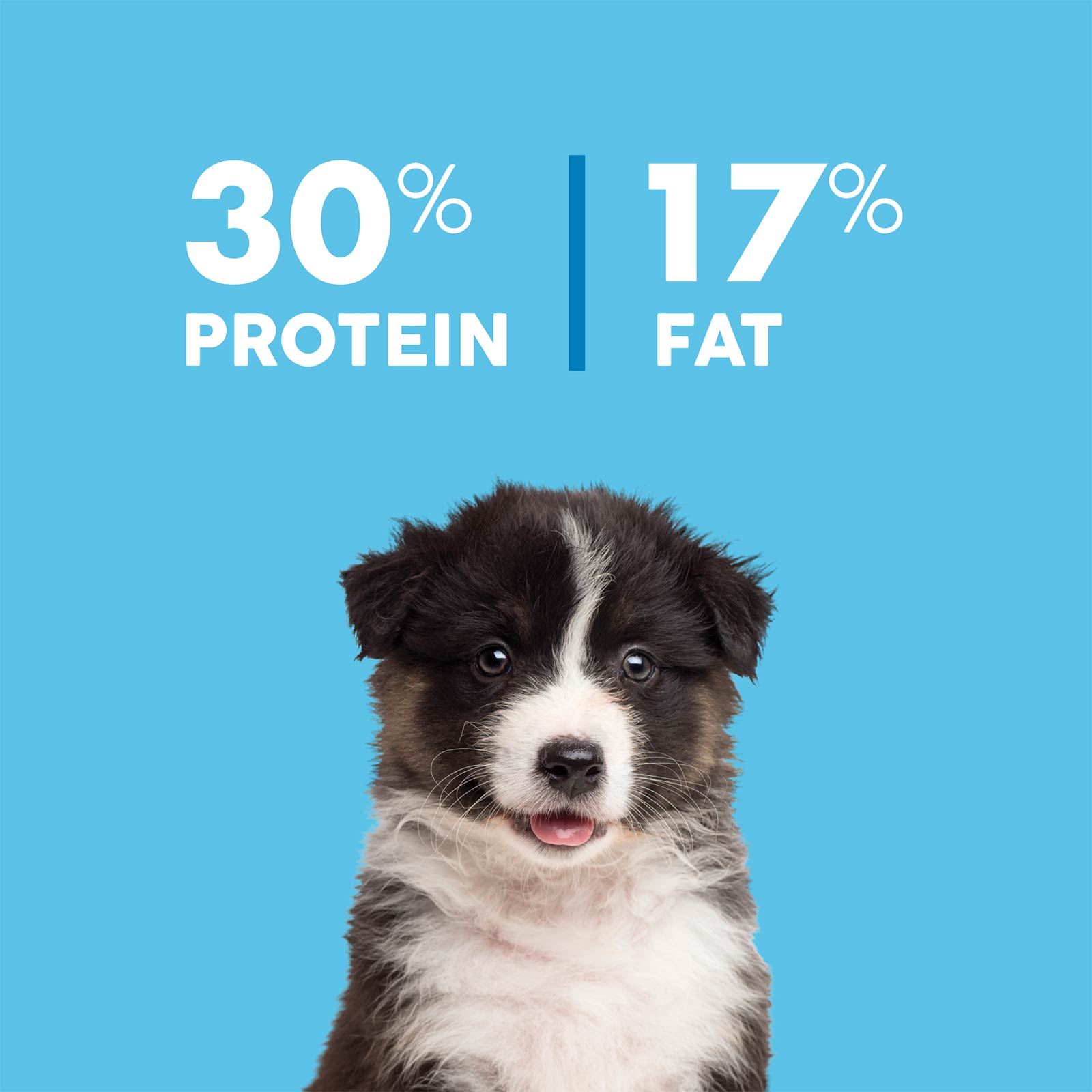 True Colours Puppy Chicken And Brown Rice 20kg
