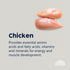 True Colours Puppy Chicken And Brown Rice 3kg