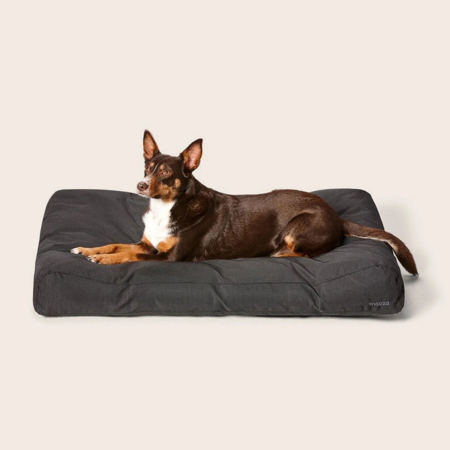 Ultra Tuff Lounger Black