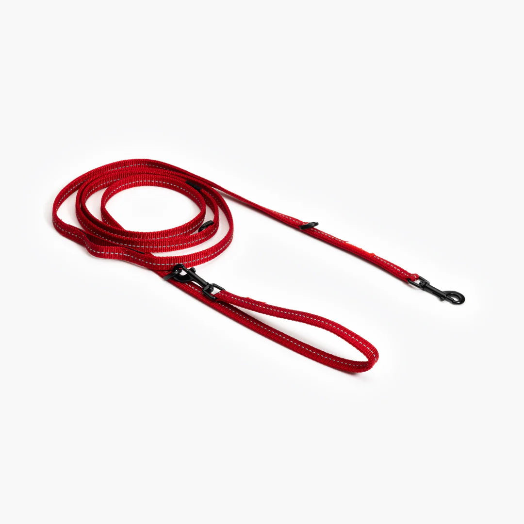 EzyDog Lead Vario 6 Lite 12 Small Red