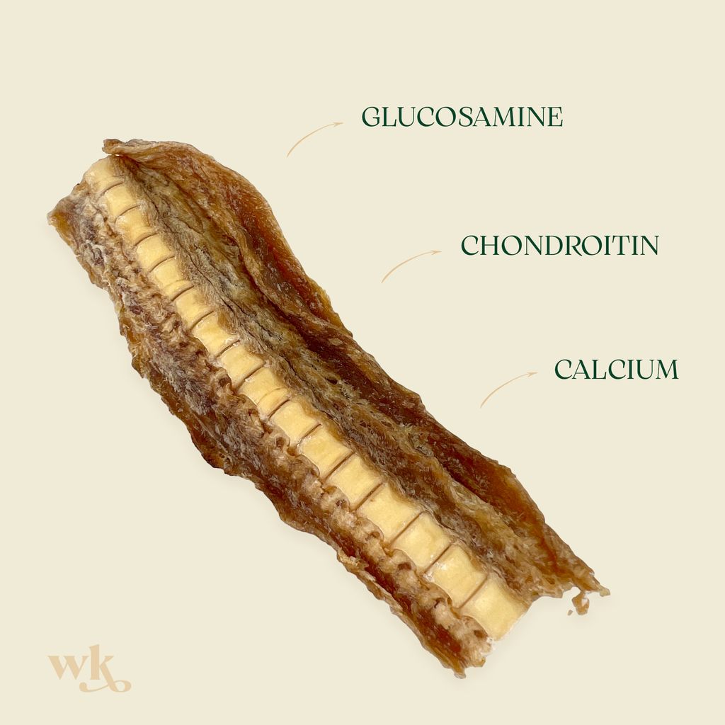 Wildkind Dog Treat Southern Ocean Shark Cartilage 100g
