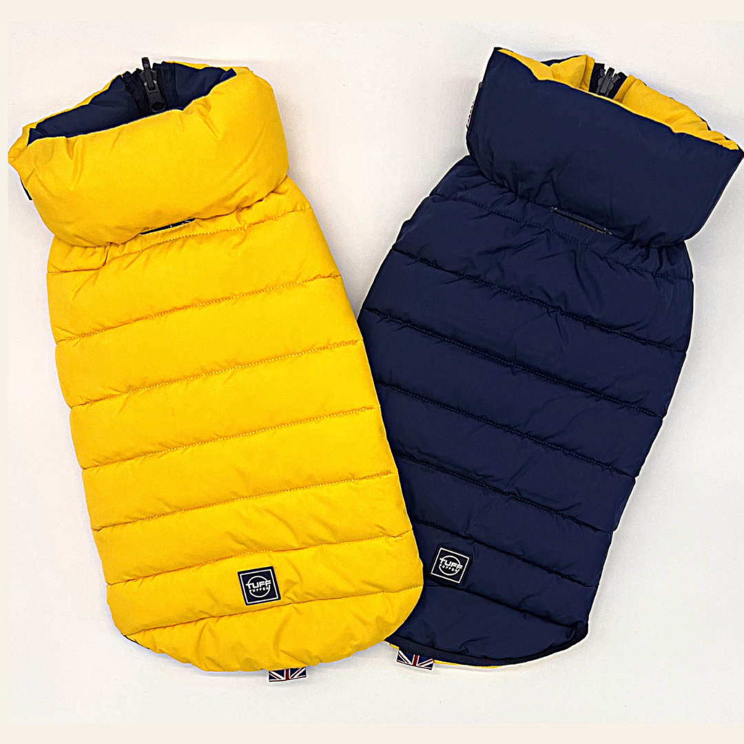 Jacket Puffer Reversible Yellow & Navy