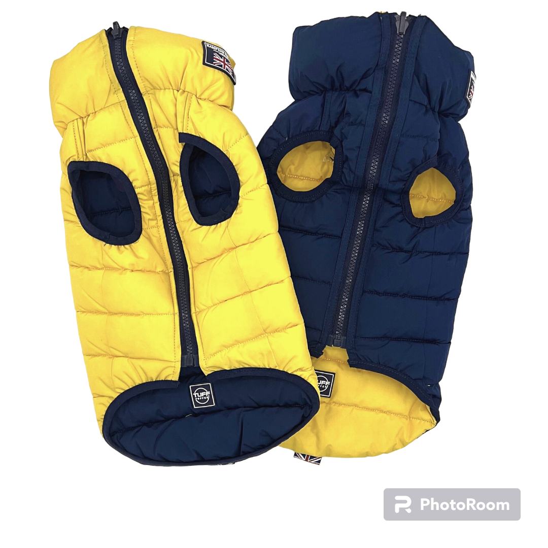 Jacket Puffer Reversible Yellow & Navy