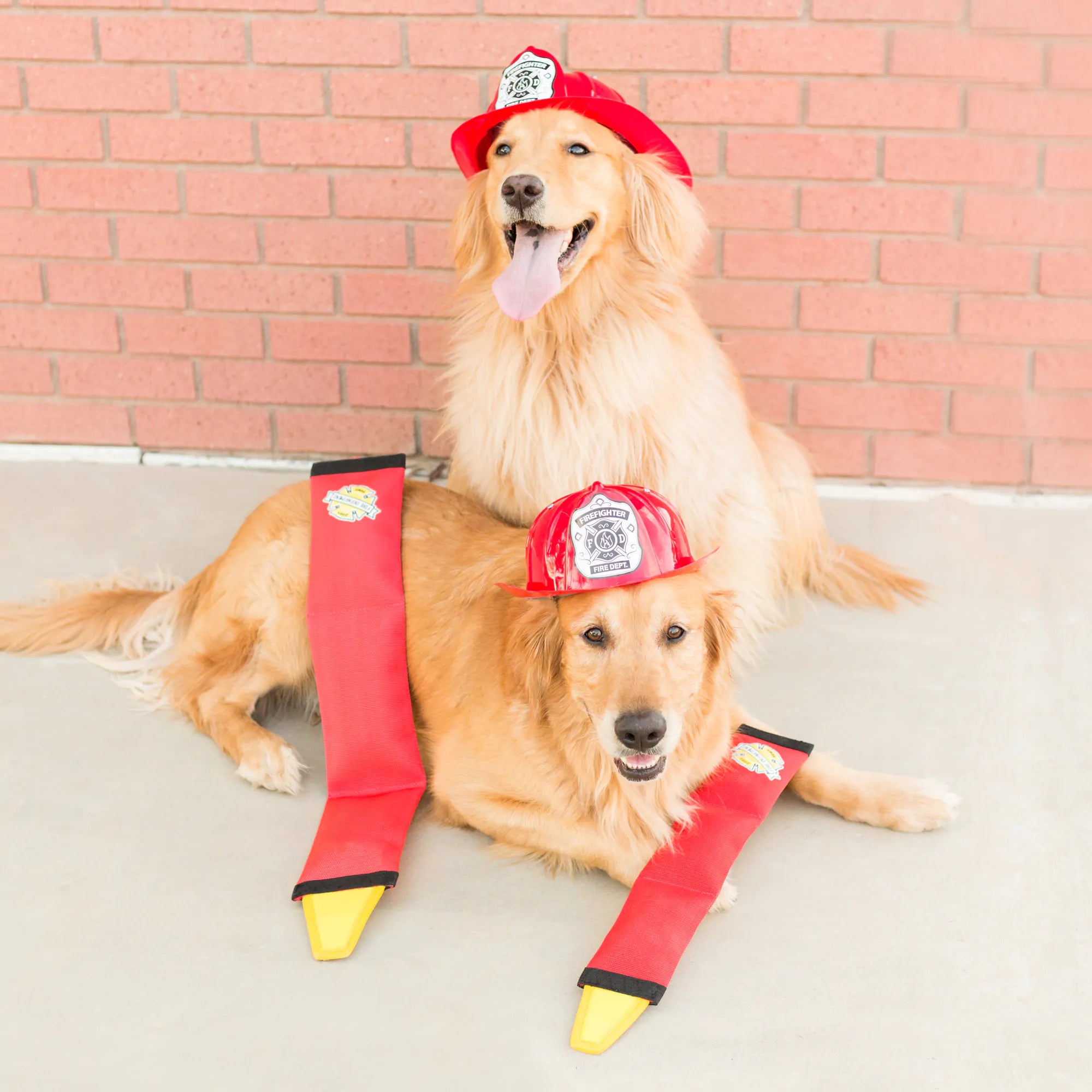 Zippypaws Firehose Blaster Large 50X7.5X3.5Cm