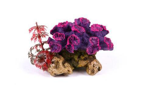 Coral With Plant Small