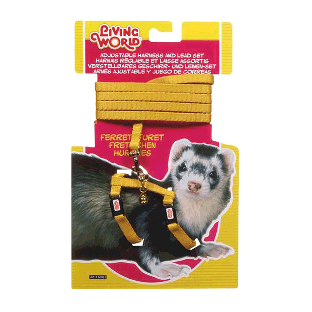 Living World Ferret Harness and Lead