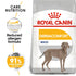 Royal Canin Dog Dry Maxi Dermacomfort 12kg