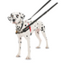 Halti Front Control Harness