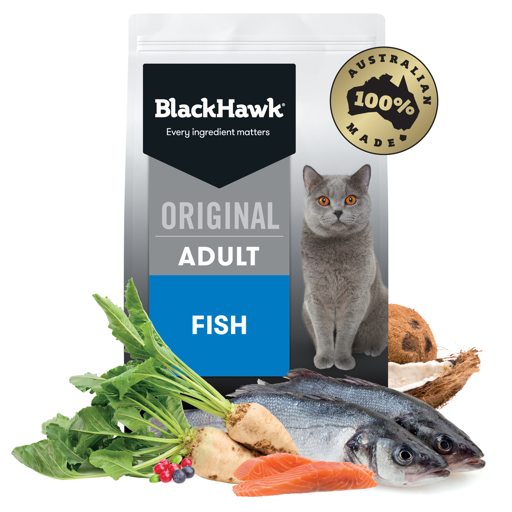Black Hawk Cat Fish 3kg