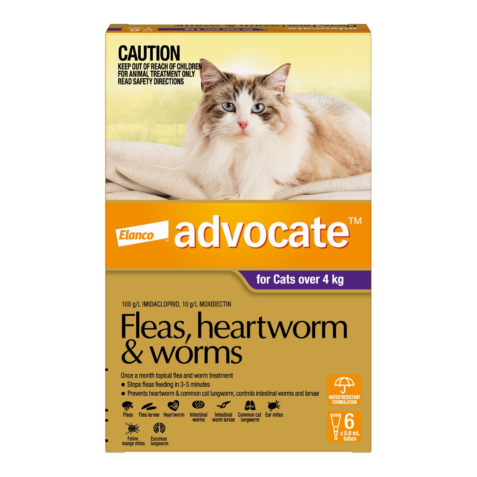 Advocate Cat