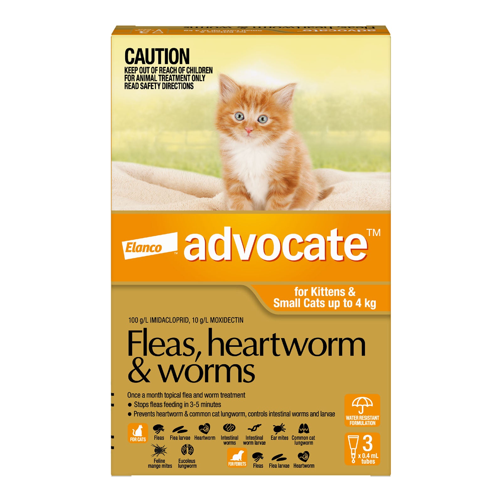 Advocate Cat