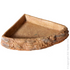 Reptile Corner Bowl Xl
