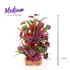 Combination Plant Thin Leaf With Maroon Flower