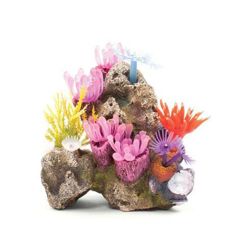 Coral Garden Small