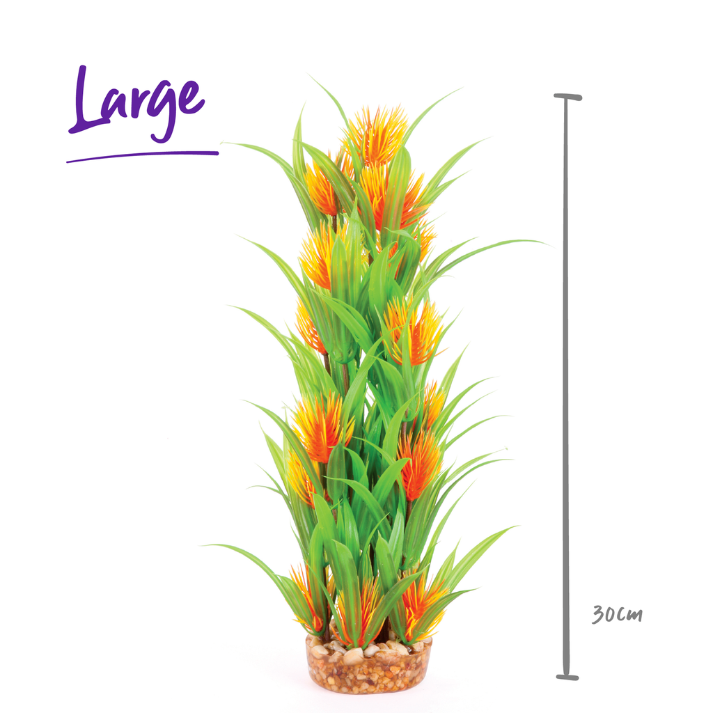 Combination Plant Thin Leaf With Orange Flower
