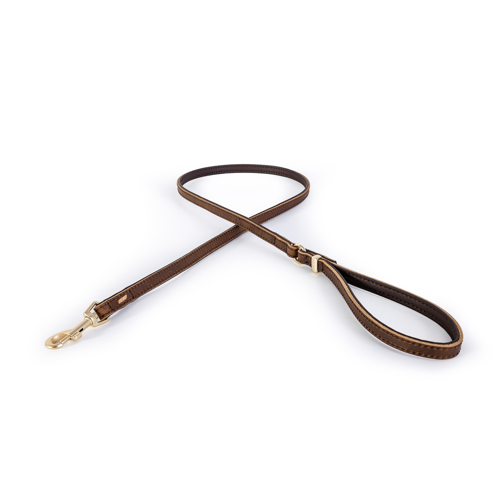 Ezydog Lead Oxford 48