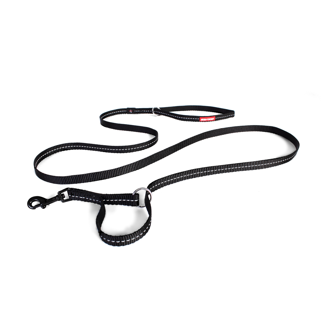 Ezydog Lead Vario 4 12