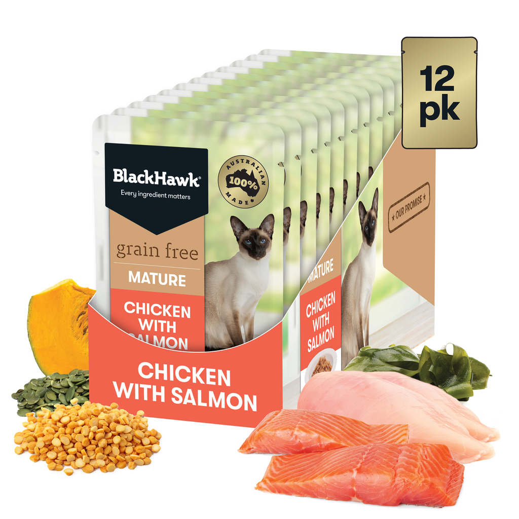 Black Hawk Cat Wet Mature Chick/Salmon