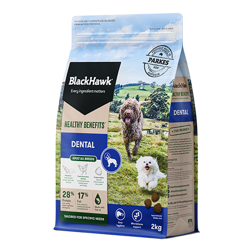 Black Hawk Dog Healthy Benefits Dental