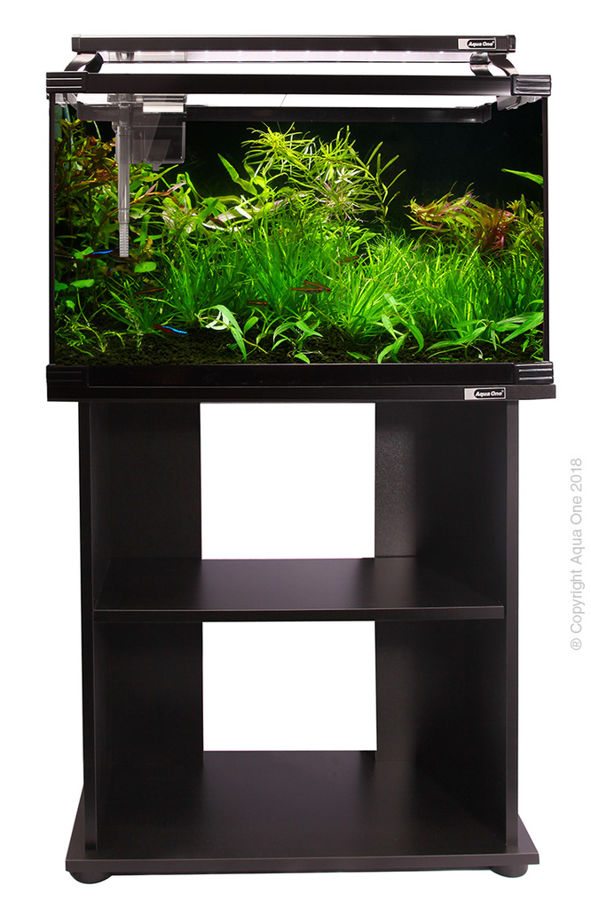 Stand Only Horizon Aquarium – PETQuarters - Main Image