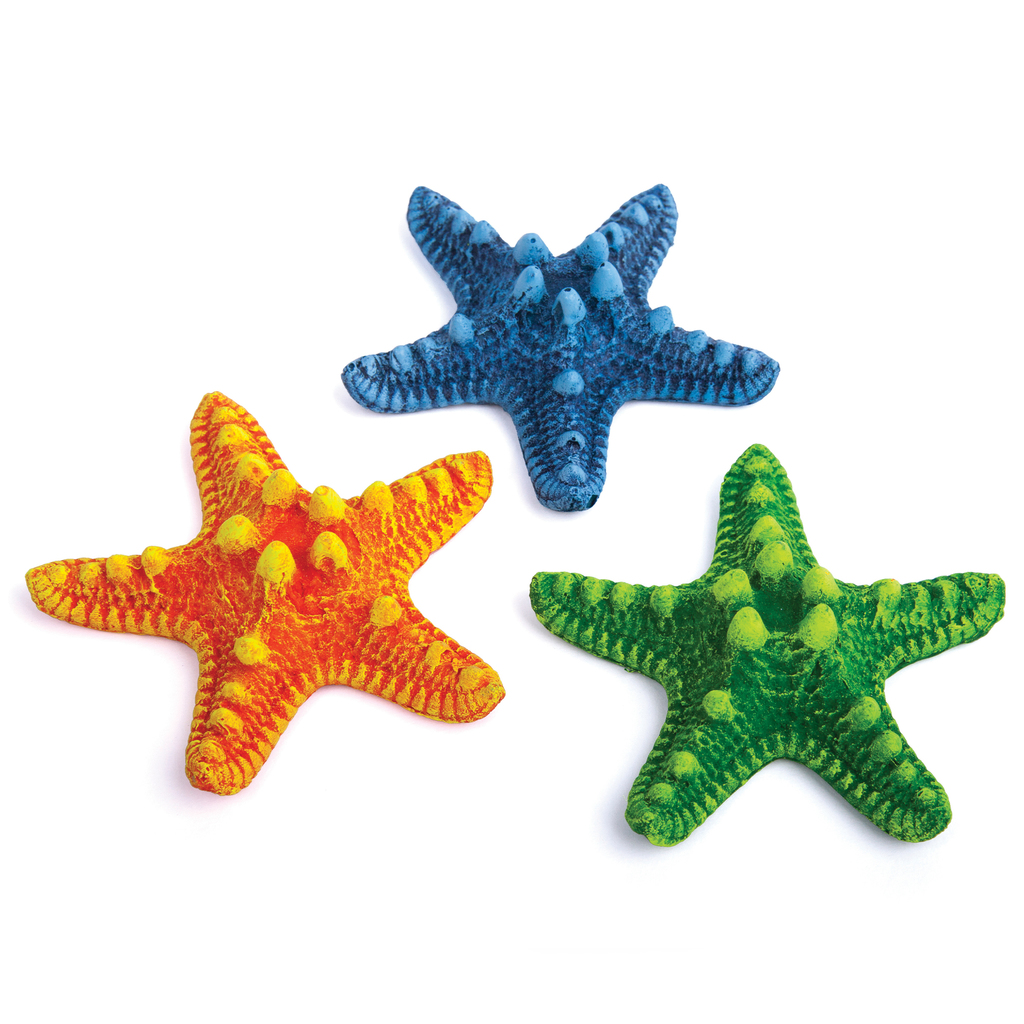 Starfish Assorted Small 3pk