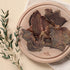 Wildkind Dog Treat Western Desert Camel Jerky 100g